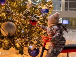Нижегородцев приглашают поддержать новогодние ели, заявленные от региона во всероссийском конкурсе «Елки России»